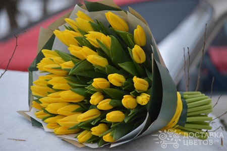 Букет из 51 тюльпана "Желтые тюльпаны"